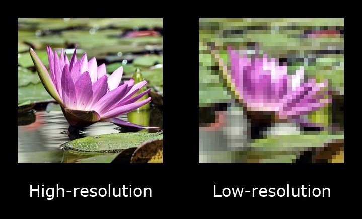 Low-res and high-res versions of a picture of a flower